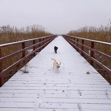 Διαμέρισμα Enklawa Mielno-uniescie Przy Plazy